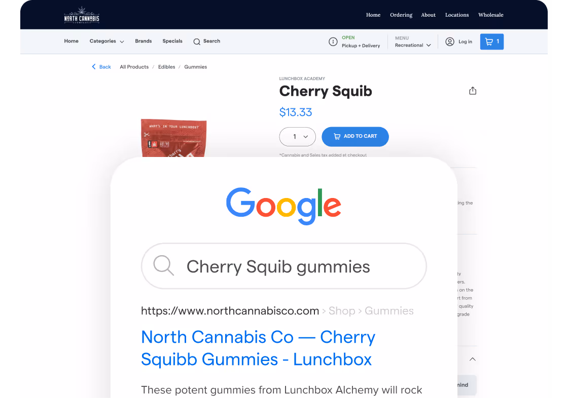 Advanced URL customization and SEO controls